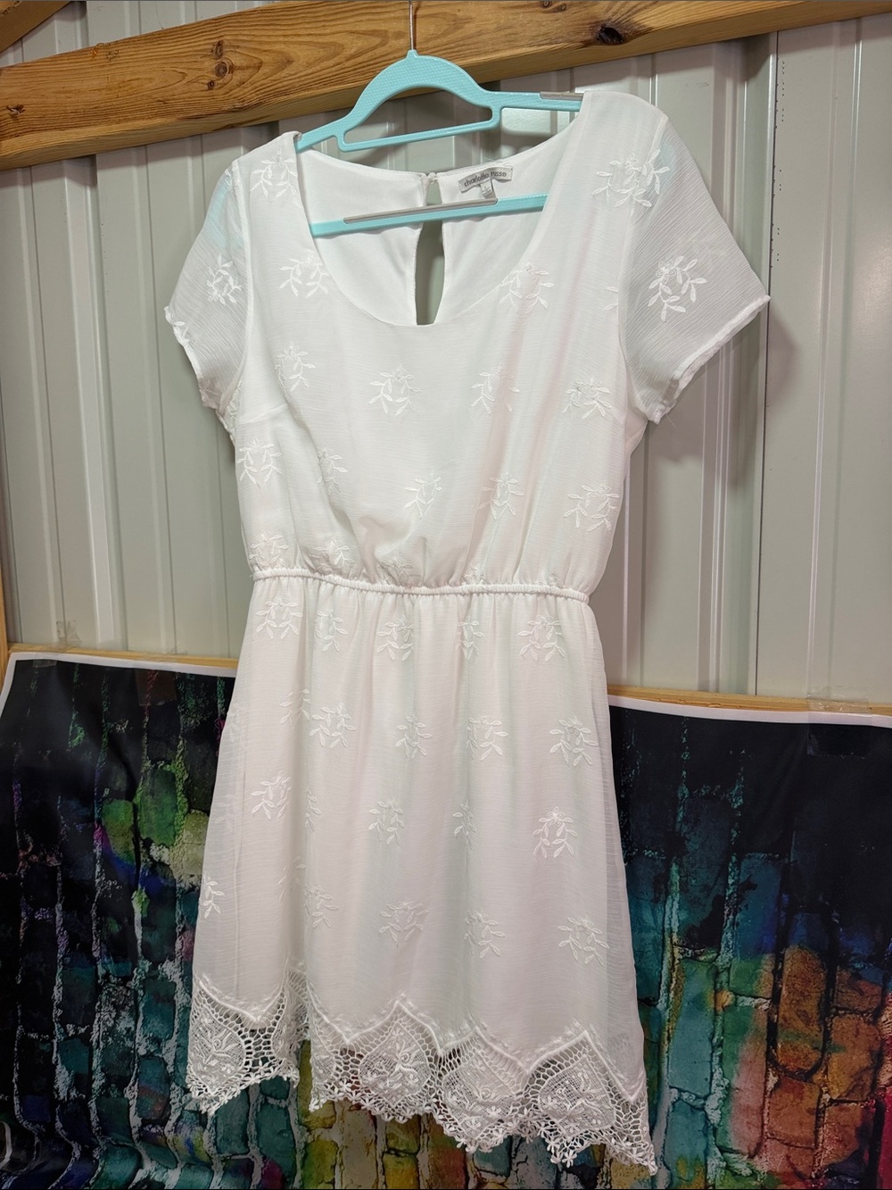 Charlotte Russe White Floral Embroidered Lace-Hem Mini Dress